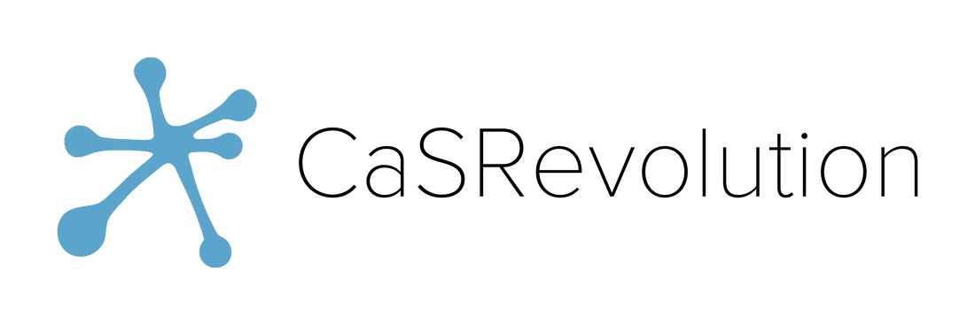 CaSRevolution S.r.l. Logo
